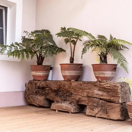 In Der Alten Schnapsbrennerei Kolleritsch In