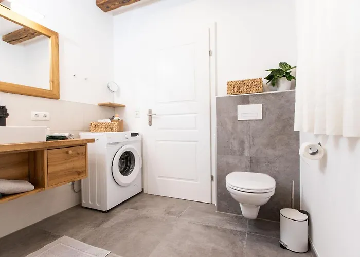 Apartment In Der Alten Schnapsbrennerei Kolleritsch In