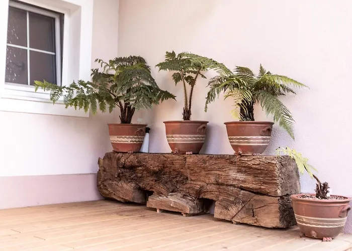 In Der Alten Schnapsbrennerei Kolleritsch In